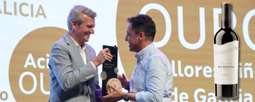 Vía Romana Añada Mencía, reconocido como Mejor Vino Tinto de Galicia 2026